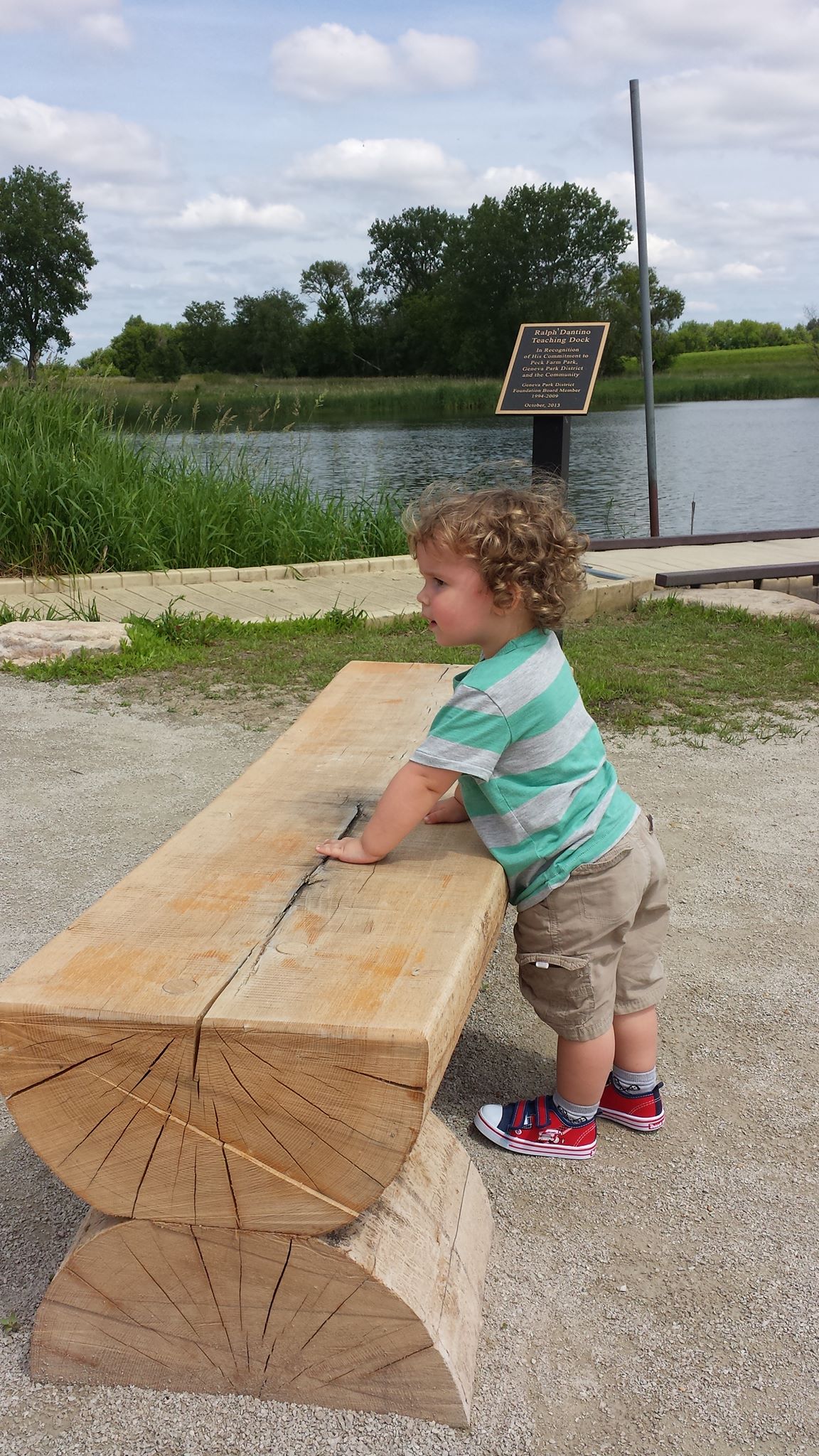 Damon at Peck Farm - Lisa Smoczynski